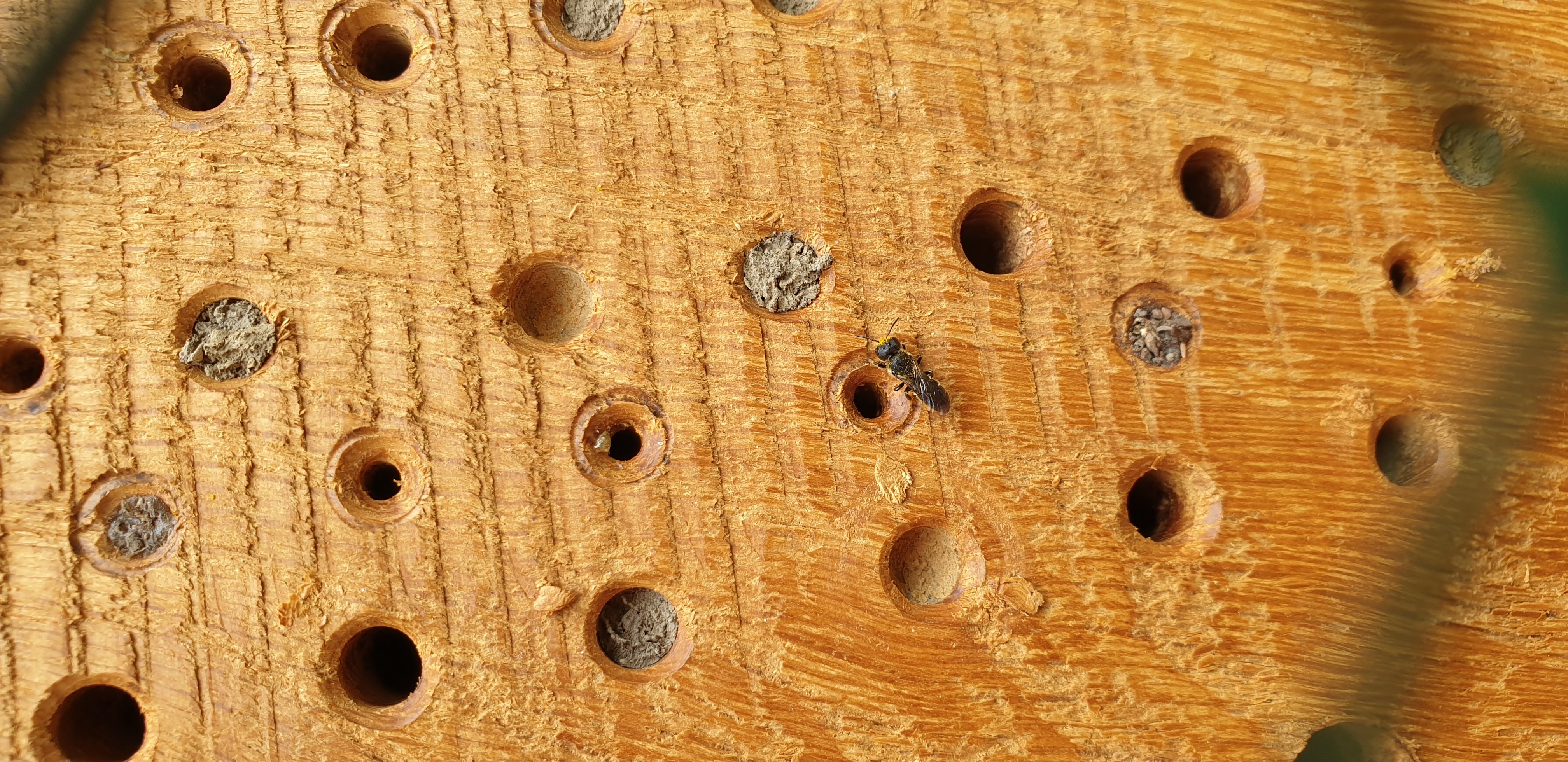 Start 20200614 140520